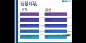 宏观营销环境包括哪些因素了解这些因素，轻松掌握市场趋势。